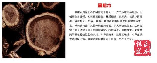 实木象棋子 黑檀木象棋子 直径4.8 含礼盒含棋盘 商品图4