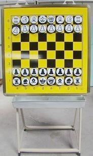 包邮  国际象棋大棋盘 磁性国际象棋子 支架+斗 教学棋具 商品图0