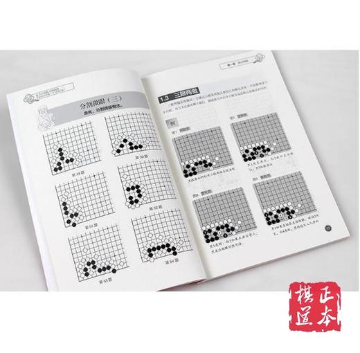 聂卫平围棋习题精解 死活专项训练 从1段到2段 商品图3