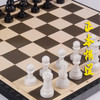 包邮  中号国际象棋 先行者 正品 折叠 磁性 B-5 立体型 39付一件 商品缩略图3