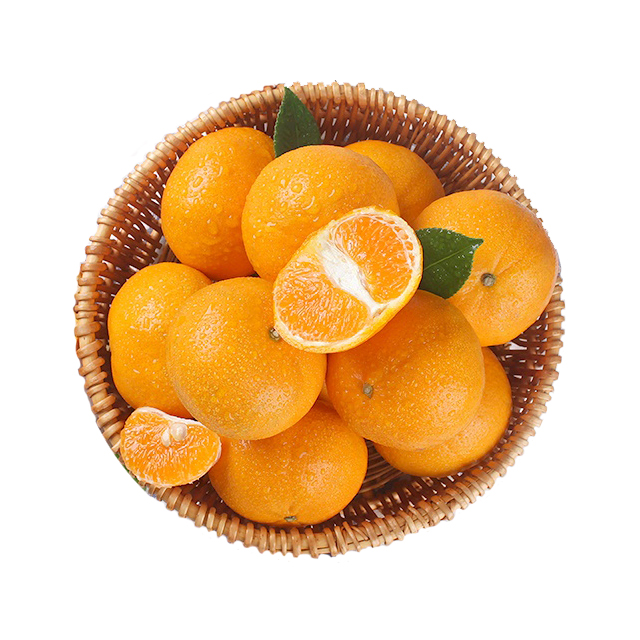 叶橘1斤2.5元