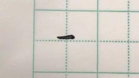 第8讲 基本笔画-悬针竖