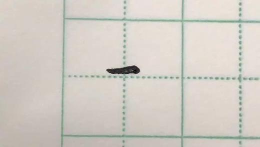 第8讲 基本笔画-悬针竖 商品图0