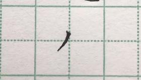 第17讲 基本笔画-横钩