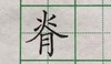 脊 商品缩略图0