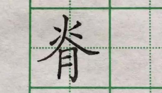 脊 商品图0