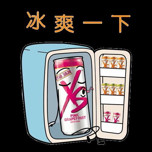 XS运动营养饮料(葡萄柚口味)250mlx6罐/元气粉/每天都充满元气 商品图4