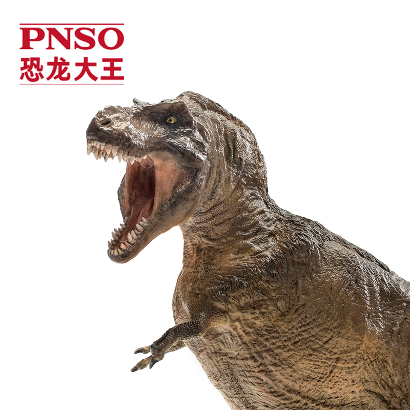 pnso恐龙大王成长陪伴模型01霸王龙