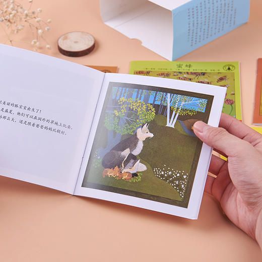 《小小自然图书馆》40册丨意大利获奖无数的自然启蒙图画书 商品图3
