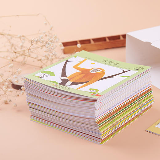 《小小自然图书馆》40册丨意大利获奖无数的自然启蒙图画书 商品图2