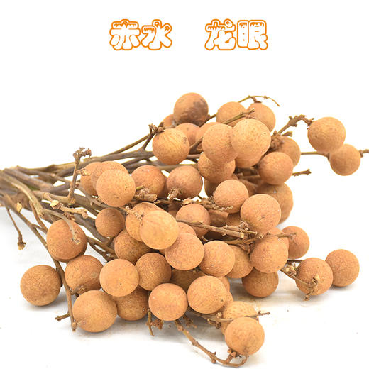 遵义赤水【元厚龙眼】 4.5斤带枝 新鲜直达 贵州桂圆值得一尝 贵州省内购买包邮 商品图0