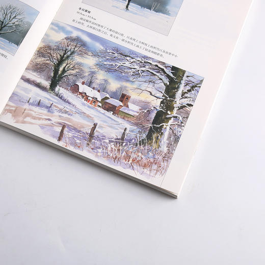 特里•哈里森的水彩课Ⅴ  轻松描绘树木和森林 商品图4