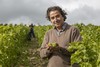茱莉雯酒庄伊森桑塞尔白葡萄酒 Pascal Jolivet Sancerre Exception 商品缩略图4