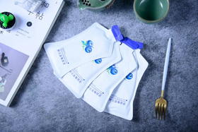 茴香改价商品2