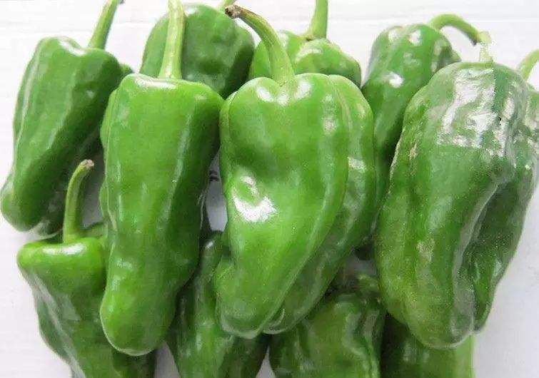 青泡椒500g