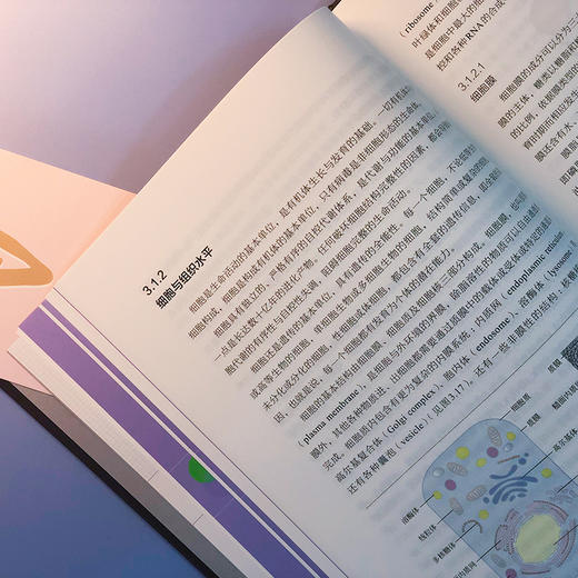 纳米生物材料-纳米材料前沿丛书 商品图5