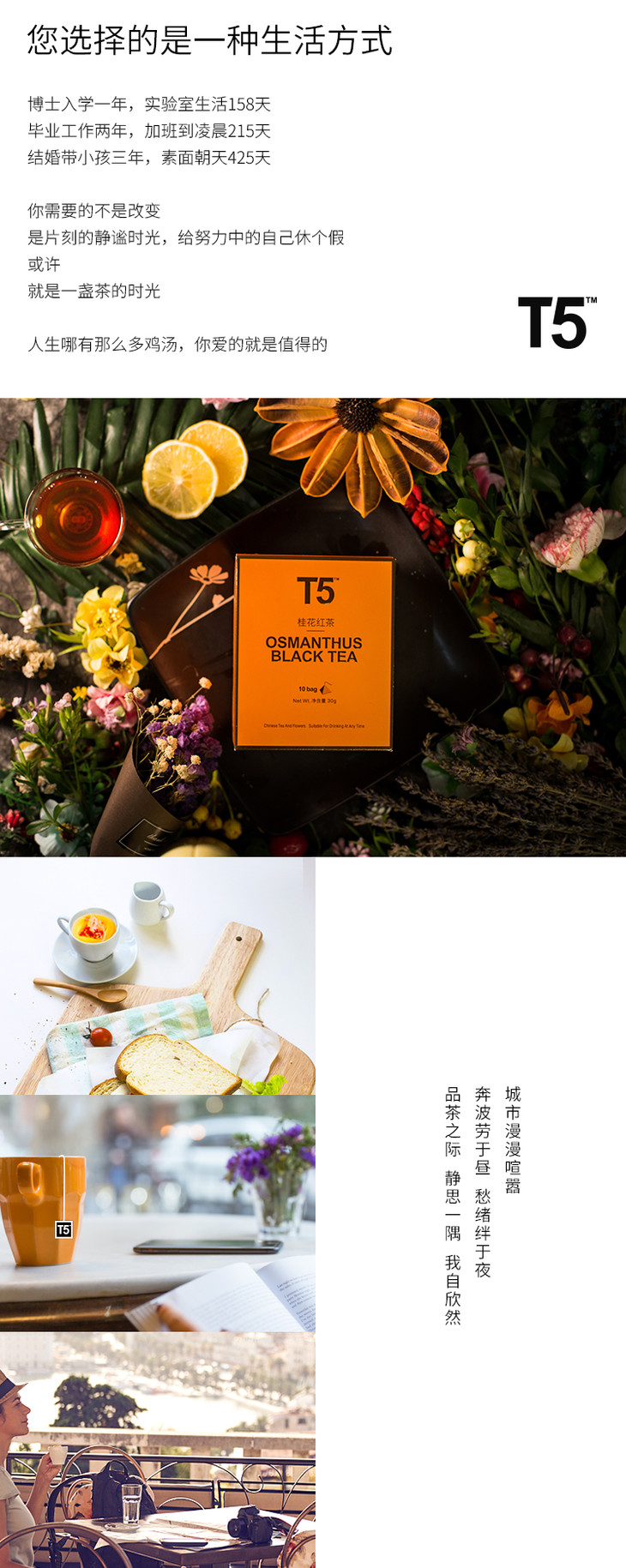 t5 桂花红茶 | osmanthus black tea