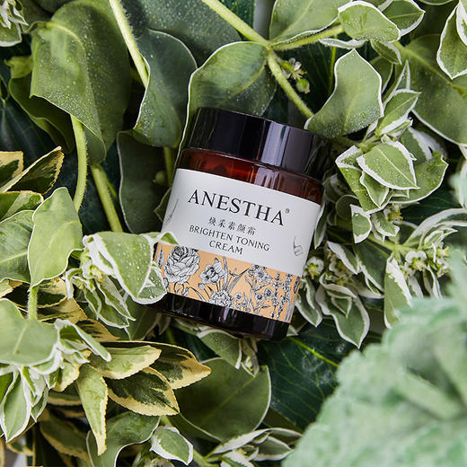 Anestha阿旎莎焕采素颜霜 | 意大利原液进口，专为敏感肌研制，0妆感，8小时自然无暇，保湿护肤 商品图3