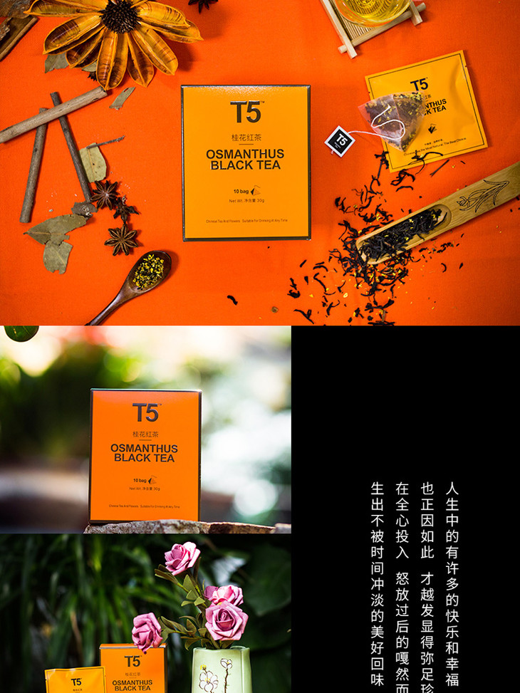 t5 桂花红茶 | osmanthus black tea