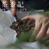 茶香记 家春秋 国礼春平寿眉礼盒 荒山生态茶园 高端大气 精品包装 送礼万用 商品缩略图2