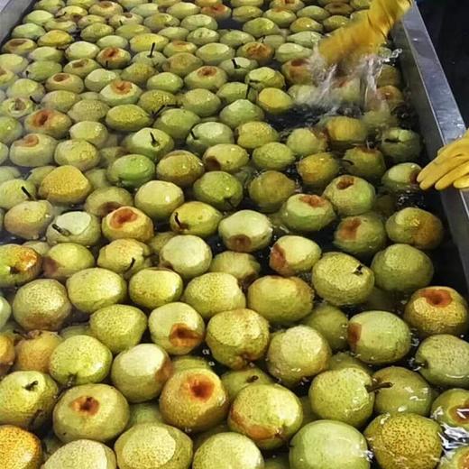莱阳梨慈膏 商品图2