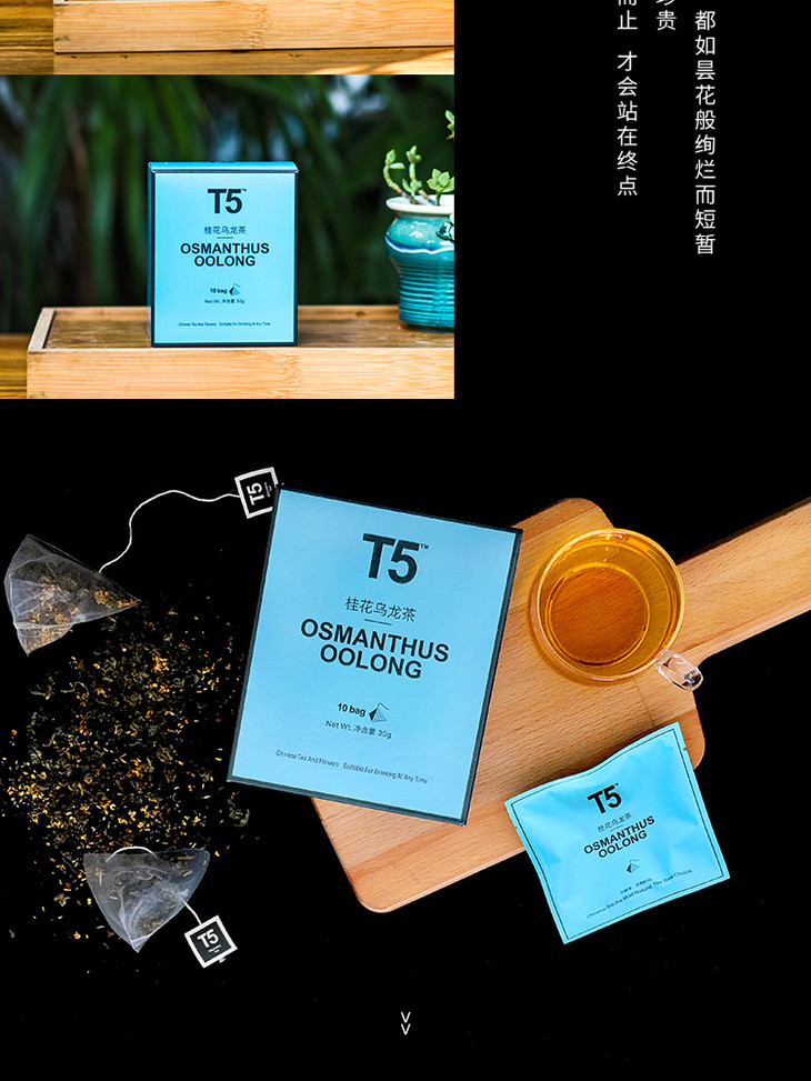 t5 桂花乌龙茶 | osmanthus oolong tea