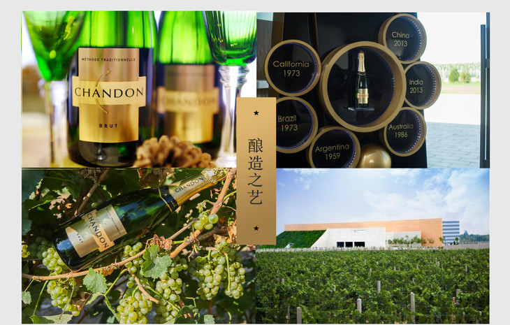 夏桐me蜜传统工艺半干高泡葡萄酒l单瓶礼盒