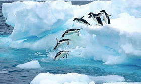 （永久下架）预付 南极大陆 阿根廷乌拉圭16日游