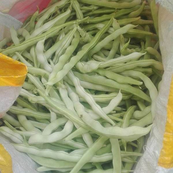 白不老豆角/斤