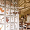 【标本王国】妈网 科普体验之森林动植物永恒之美， 带你认识 商品缩略图0