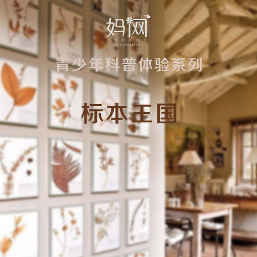 【标本王国】妈网 科普体验之森林动植物永恒之美， 带你认识 商品图0