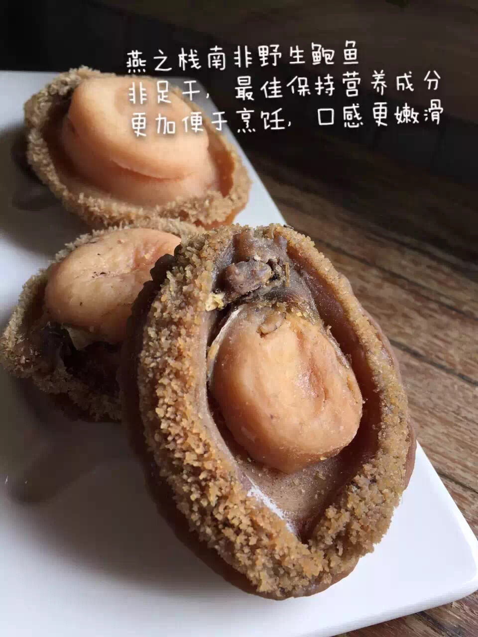 南非野生鲍鱼 六头鲍