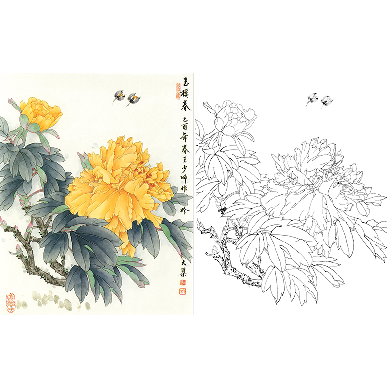 工笔花鸟白描底稿王少卿牡丹斗方小品册页wk02