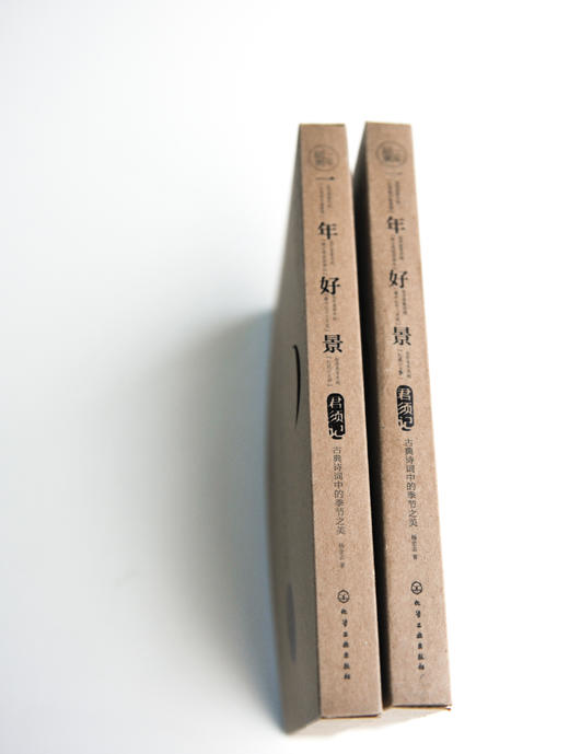 一年好景君须记：古典诗词中的季节之美 商品图4