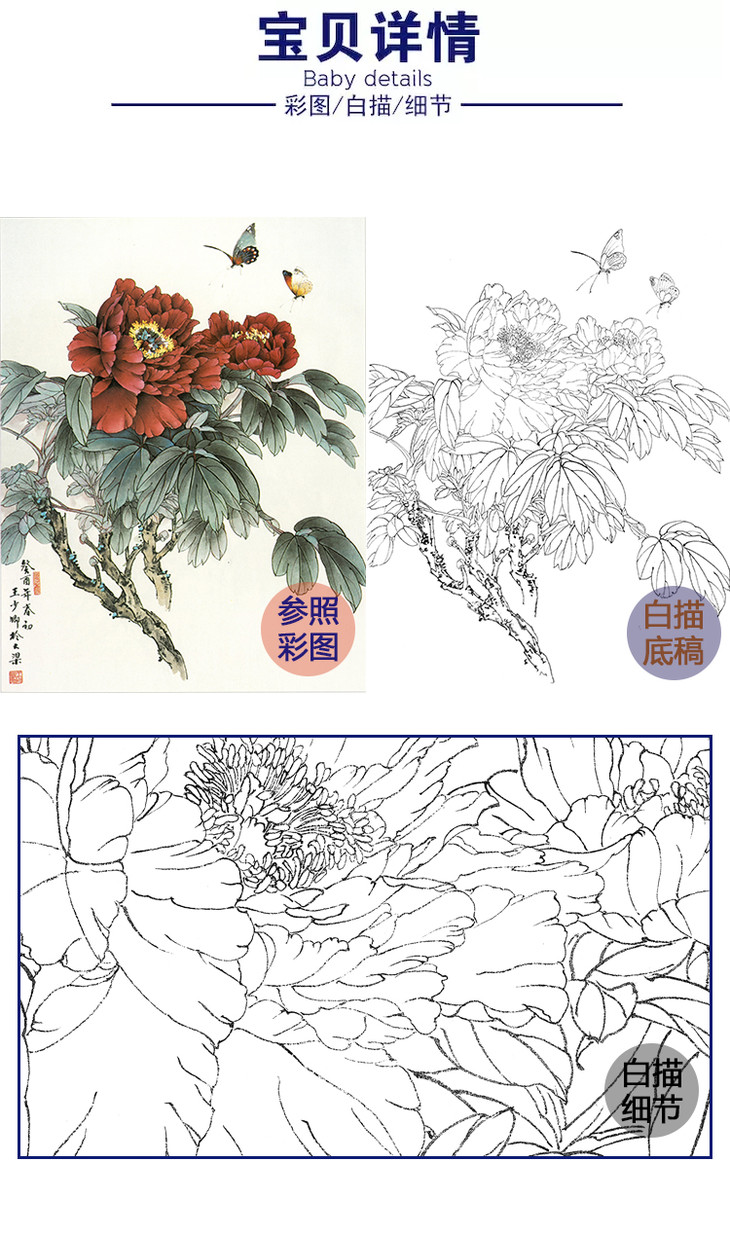 工笔花鸟白描底稿王少卿牡丹斗方小品册页wk08