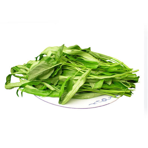 空心菜 商品图0