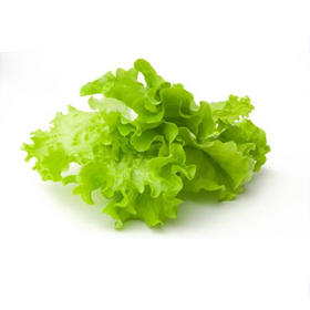 生菜