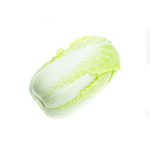 大白菜 商品图0