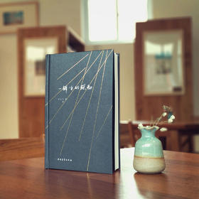 《一瞬间的照彻》卞云飞著（精装本）