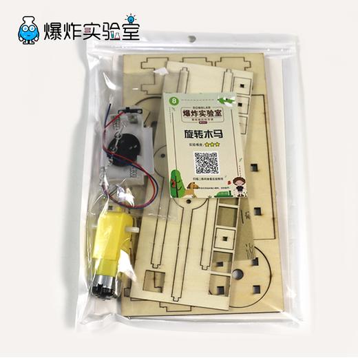 旋转木马 商品图2