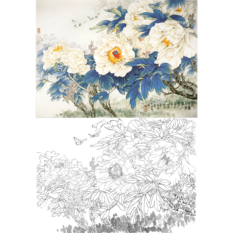 横幅工笔花鸟白描底稿王少卿牡丹wk12