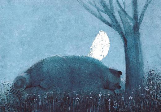 《熊梦蝶》男声-配乐朗读版 商品图0