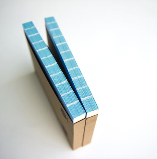 一年好景君须记：古典诗词中的季节之美 商品图3