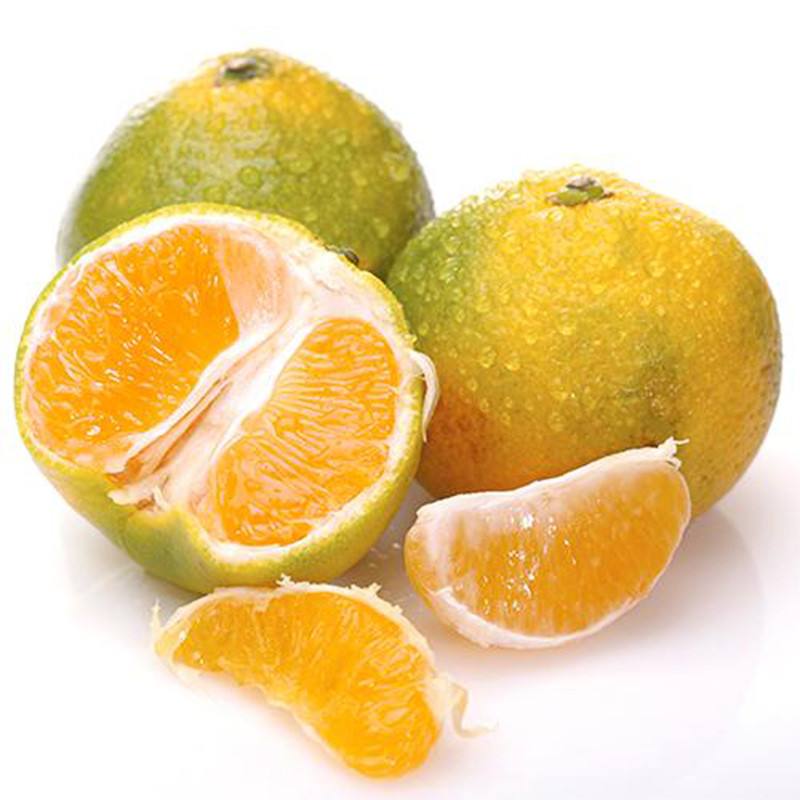 精品宜昌蜜桔|不低于500g