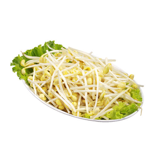 豆芽 商品图0