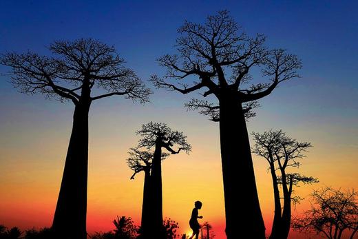 马达加斯加“诺亚方舟之旅”-10天 商品图0