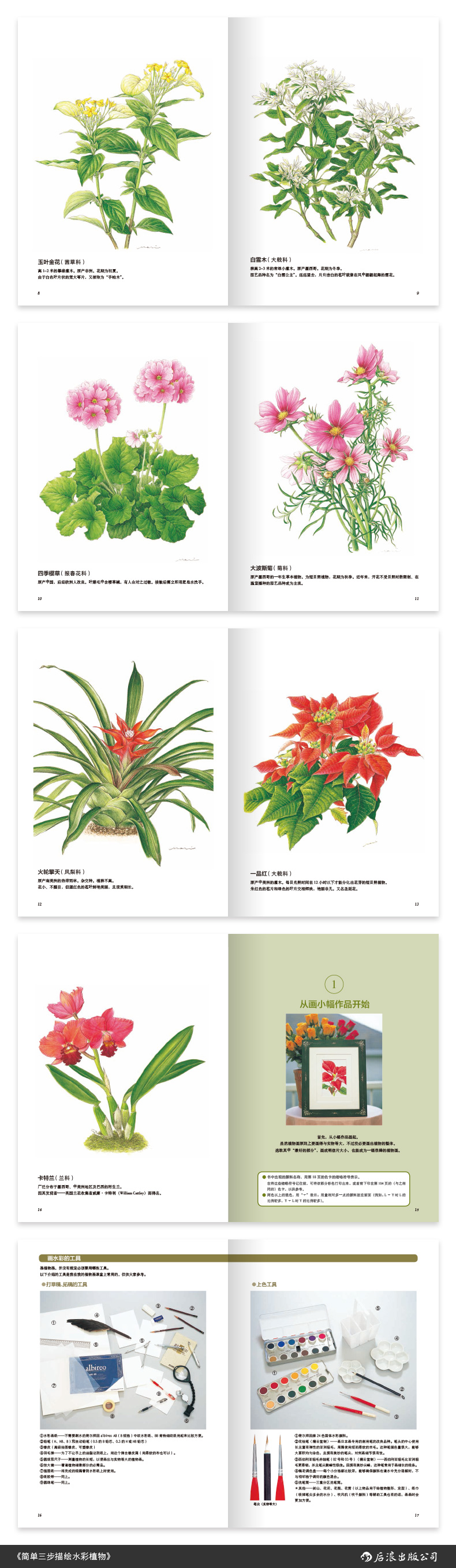简单三步描绘水彩植物 外形各异的花卉都能简单三步轻松上手给颜色编码 零基础也能画出美丽色彩 后浪出版公司