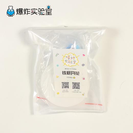 铁树开花 商品图2