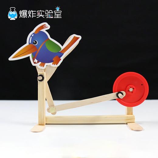 啄木鸟 商品图0