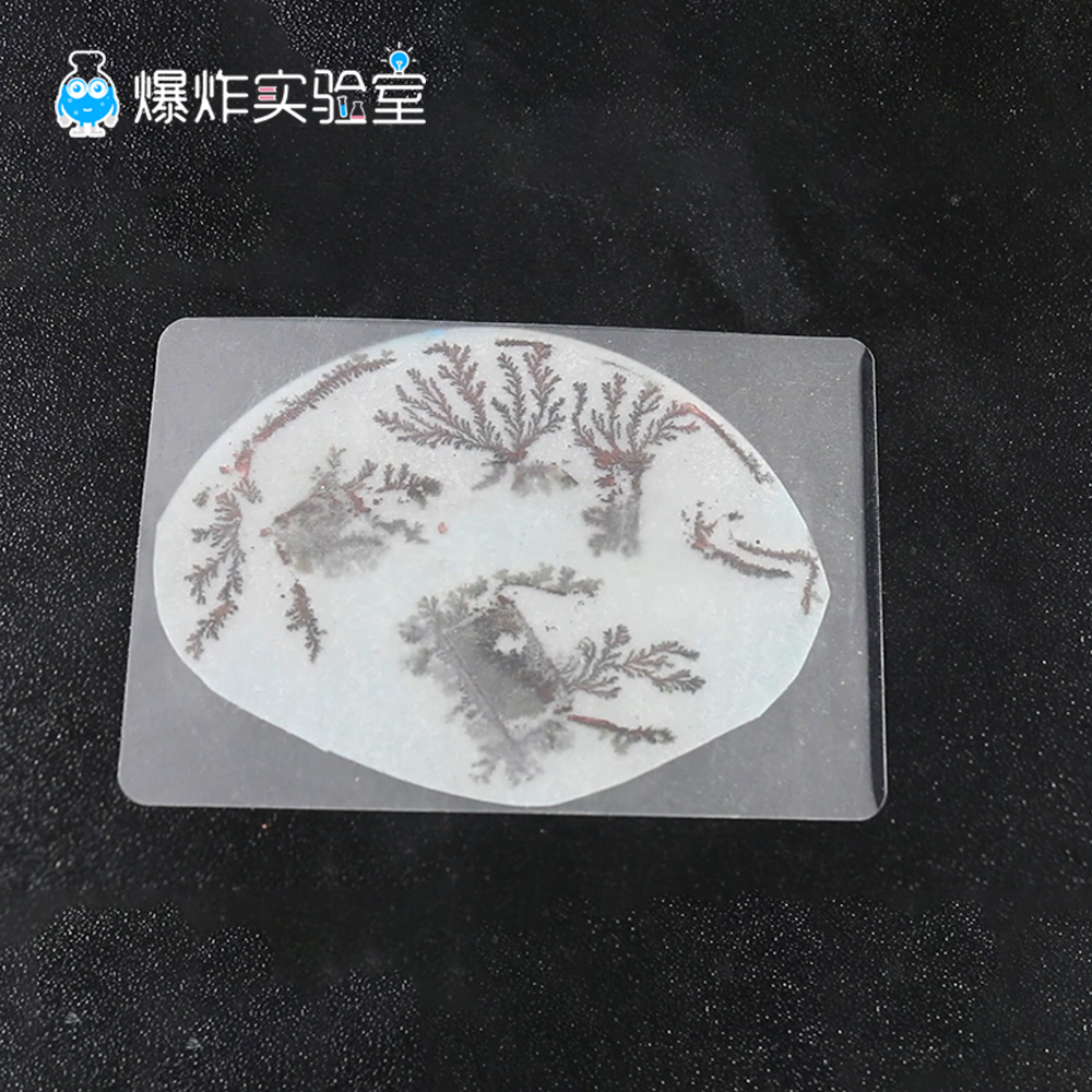 铁树开花